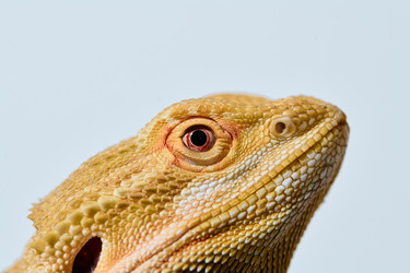 Similar image 21878464