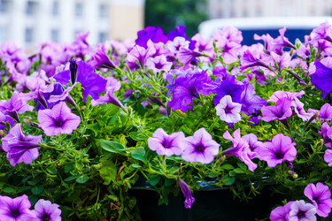 Similar image 21879386