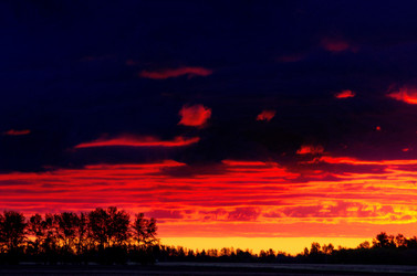 Similar image 21878991