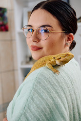 Similar image 21885187