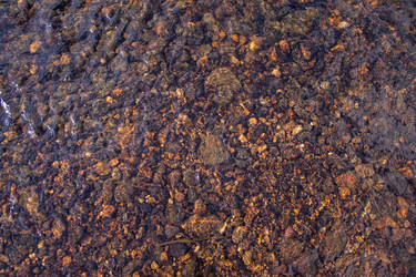 Similar image 21878549