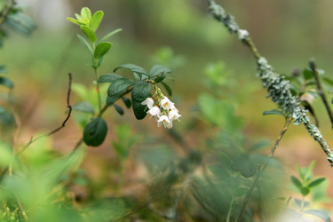 Similar image 21882401