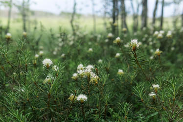 Similar image 21882404