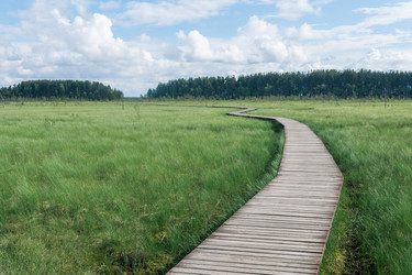 Similar image 21882405