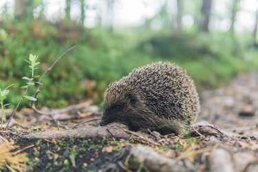 Similar image 21882406