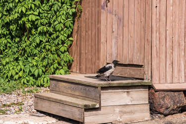 Similar image 21882425