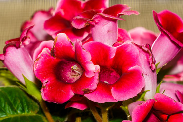 Similar image 21879390