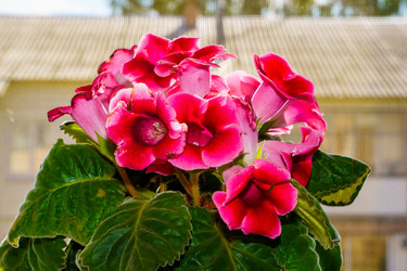 Similar image 21879391