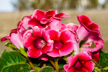 Similar image 21879632