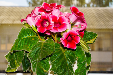 Similar image 21879633