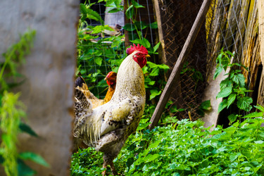 Similar image 21879637