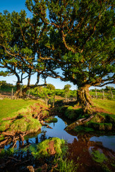 Similar image 21879142