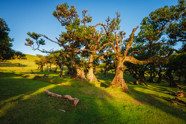 Similar image 21879143