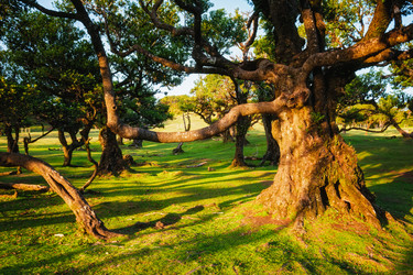 Similar image 21879144