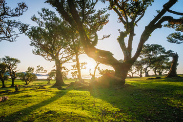 Similar image 21879145