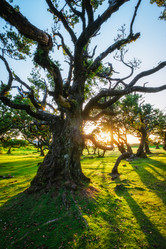 Similar image 21879150