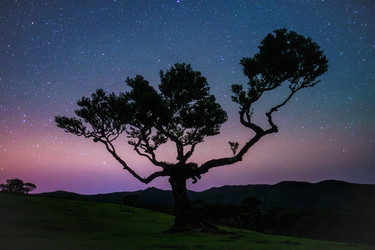 Similar image 21879158