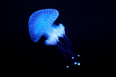 Similar image 21879169