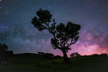 Similar image 21879171