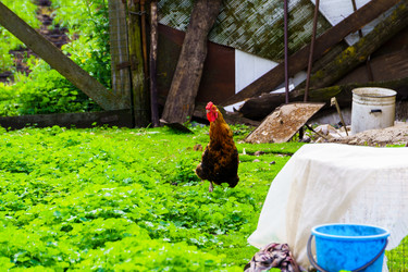 Similar image 21879639