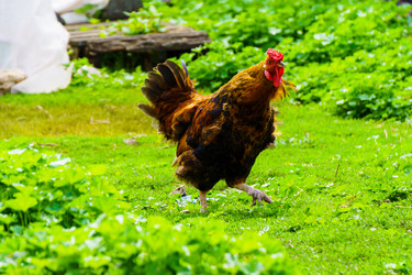 Similar image 21879640