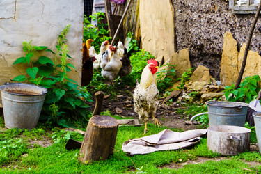 Similar image 21879641