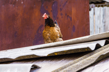 Similar image 21879643