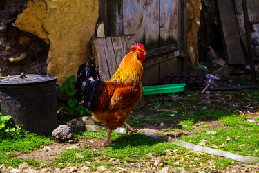 Similar image 21880341