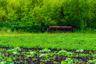 Similar image 21880342