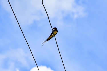 Similar image 21880344