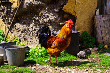 Similar image 21880347