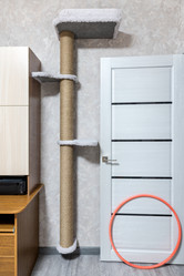 Similar image 21890331