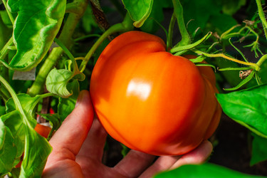 Similar image 21890332