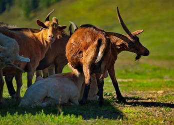 Similar image 21885377