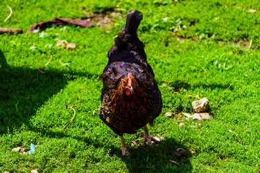 Similar image 21880349