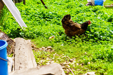 Similar image 21880350