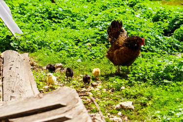 Similar image 21882012