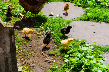 Similar image 21882013