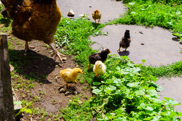 Similar image 21882014