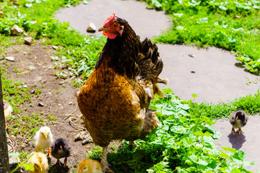 Similar image 21882015