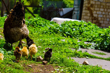 Similar image 21882016