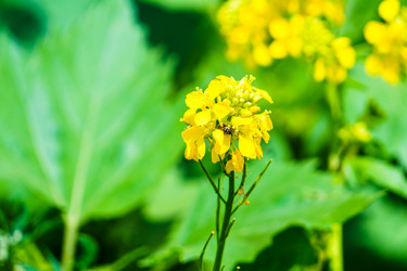 Similar image 21882040