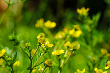 Similar image 21882119