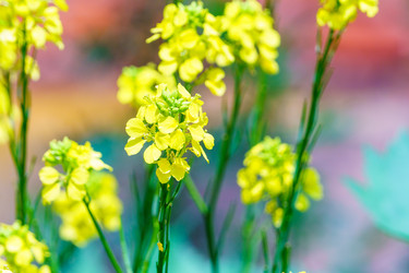 Similar image 21882120