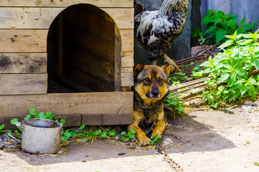 Similar image 21882122