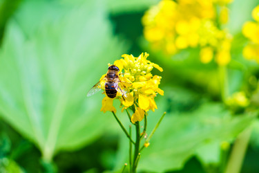 Similar image 21882123