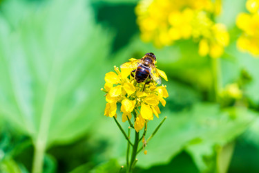 Similar image 21882124