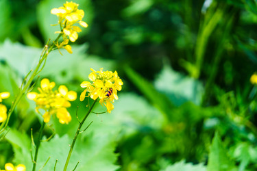 Similar image 21882125