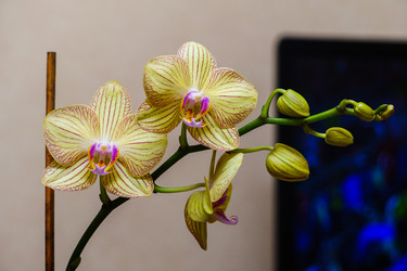 Similar image 21882126