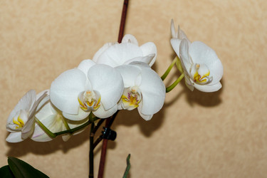 Similar image 21882427